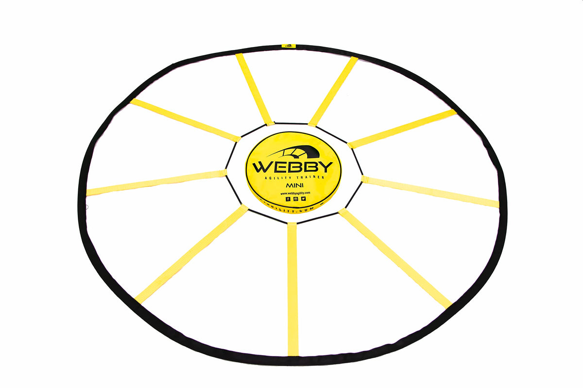Circular Agility Trainer for Reactive Footwork Drills