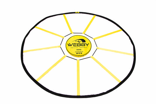 Circular Agility Trainer for Reactive Footwork Drills