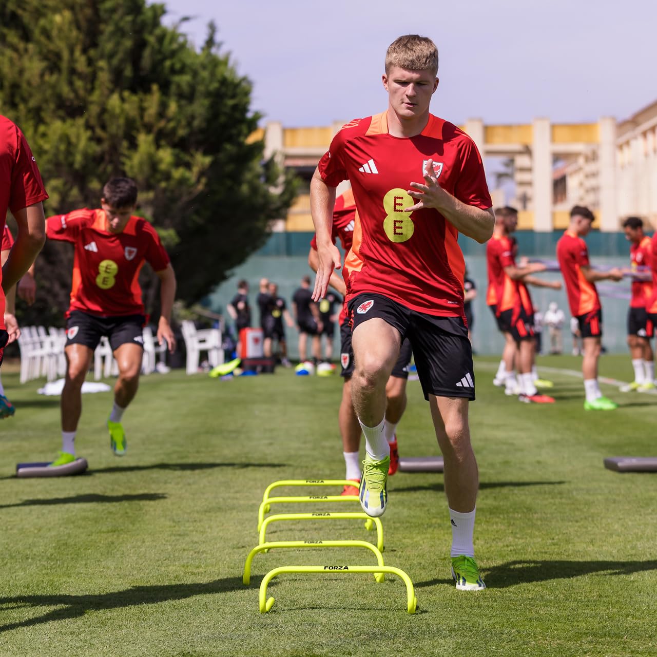 Speed Training Hurdles for Agility Drills