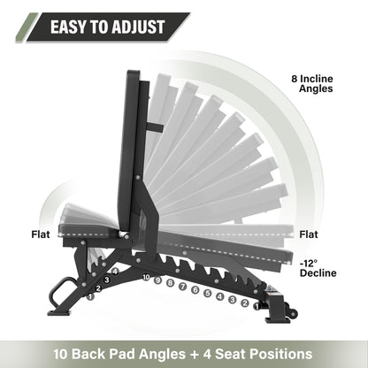 Adjustable Strength Training Bench for Home Gym