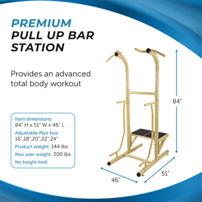 Pull Up Bar and Dip Station for Home Gym