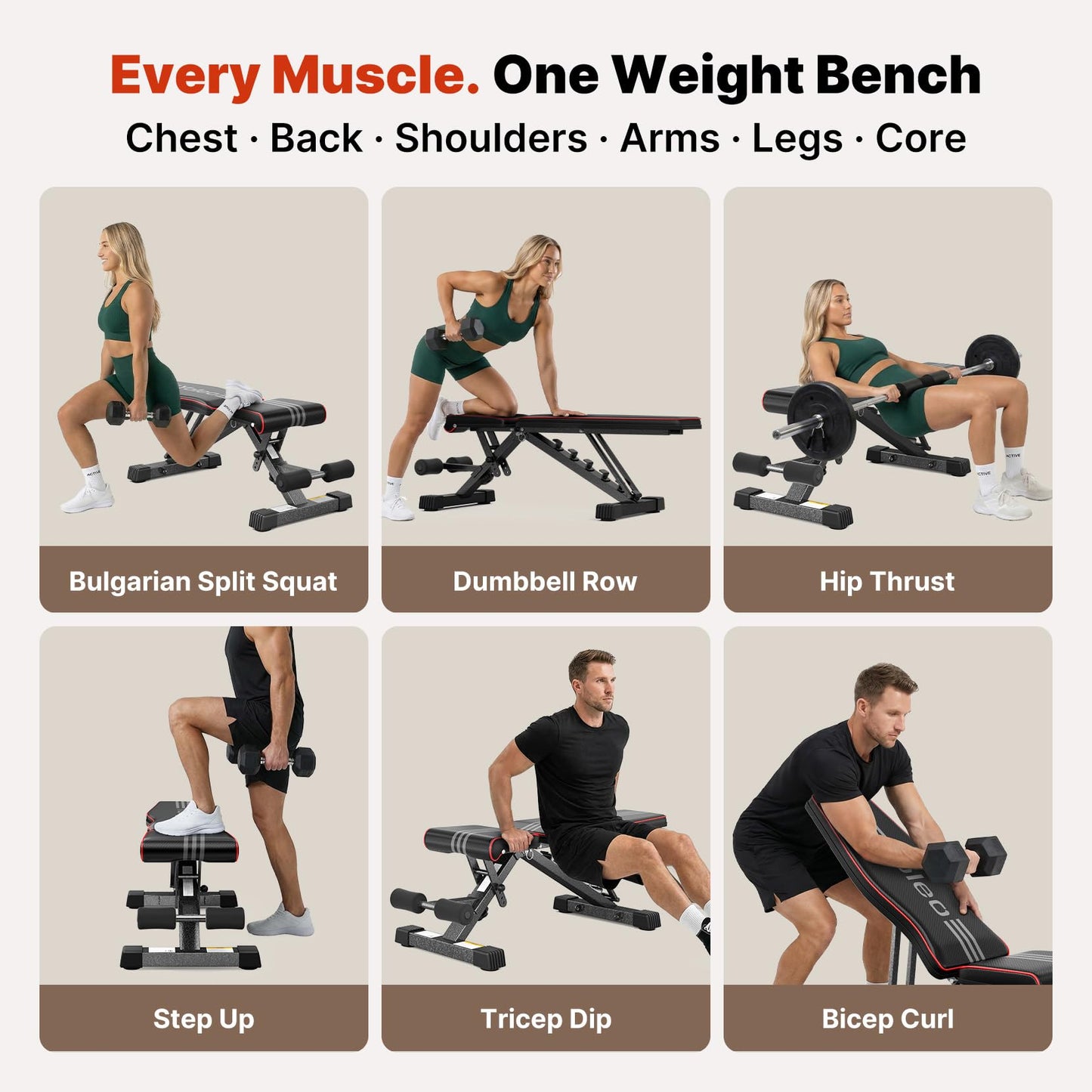 Adjustable Weight Bench for Home Gym Training