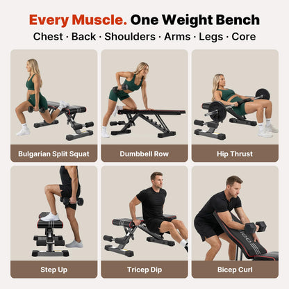 Adjustable Weight Bench for Home Gym Training