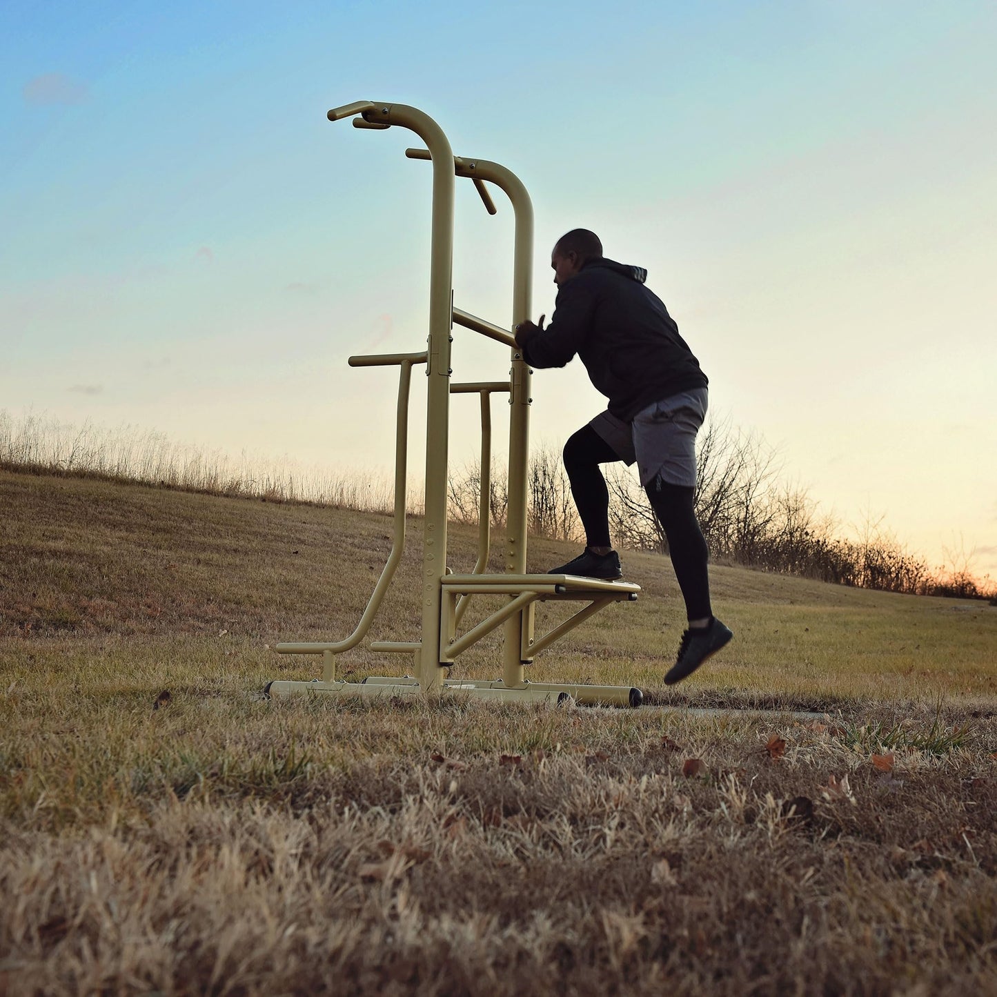 Pull Up Bar and Dip Station for Home Gym